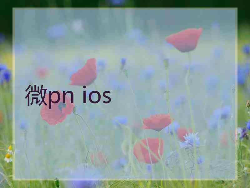 微pn ios