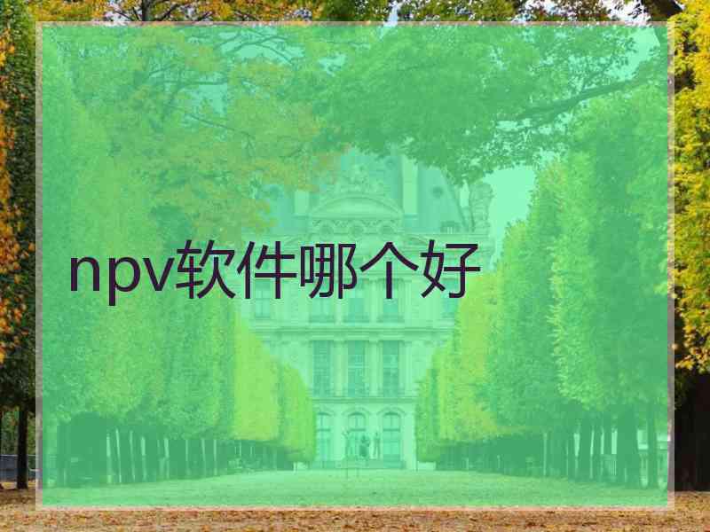 npv软件哪个好