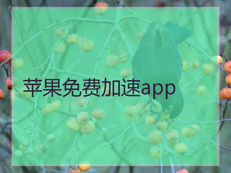 苹果免费加速app