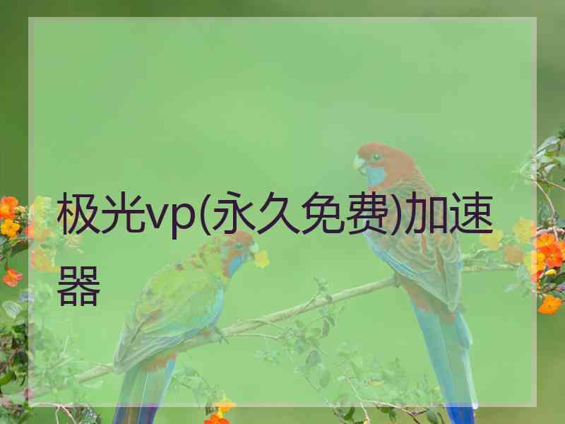 极光vp(永久免费)加速器