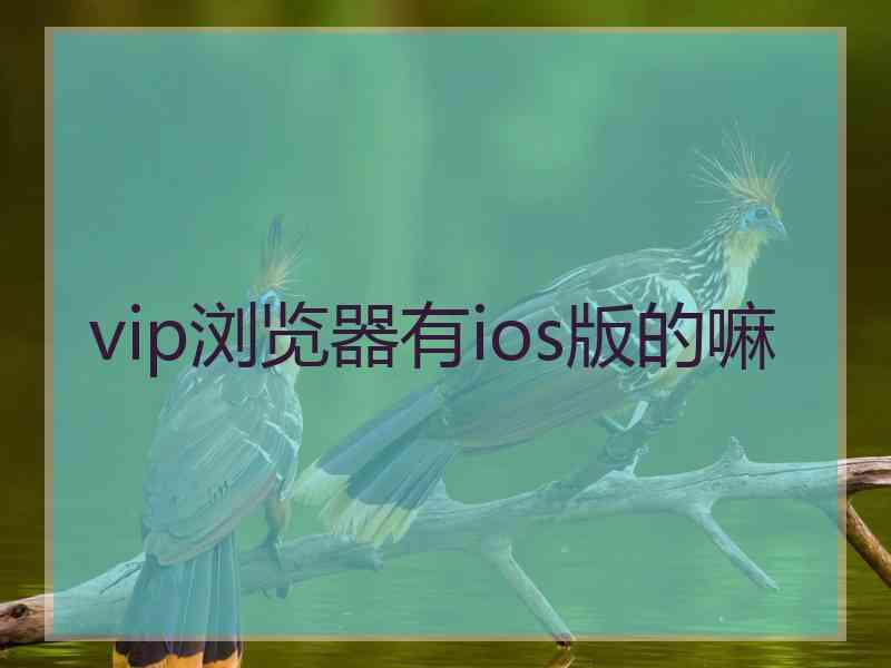 vip浏览器有ios版的嘛