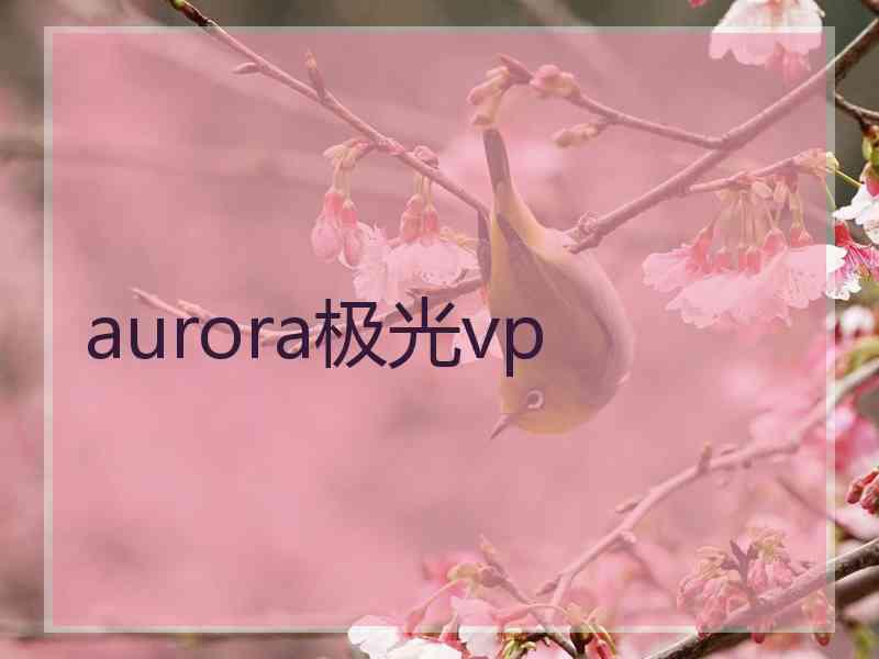 aurora极光vp