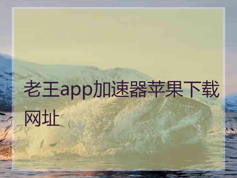 老王app加速器苹果下载网址