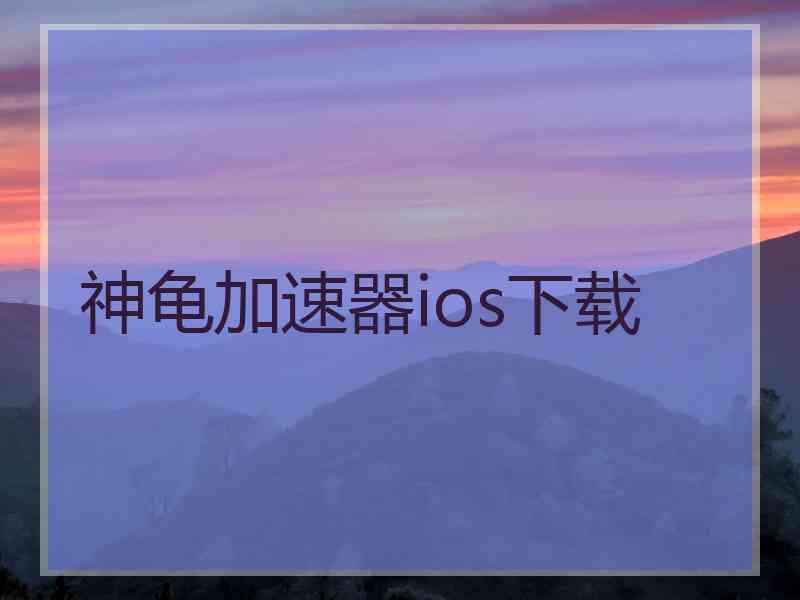 神龟加速器ios下载