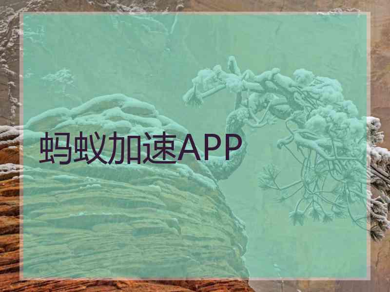 蚂蚁加速APP