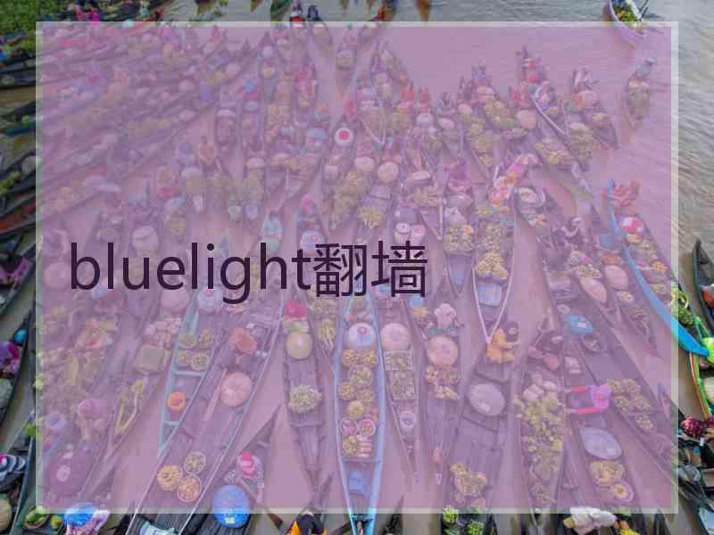 bluelight翻墙