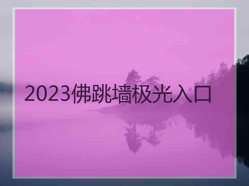 2023佛跳墙极光入口