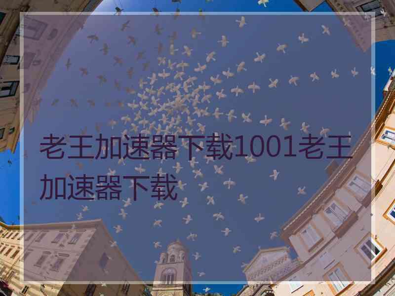 老王加速器下载1001老王加速器下载