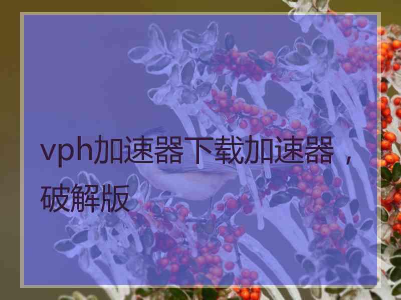 vph加速器下载加速器，破解版