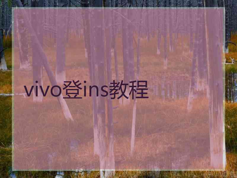 vivo登ins教程