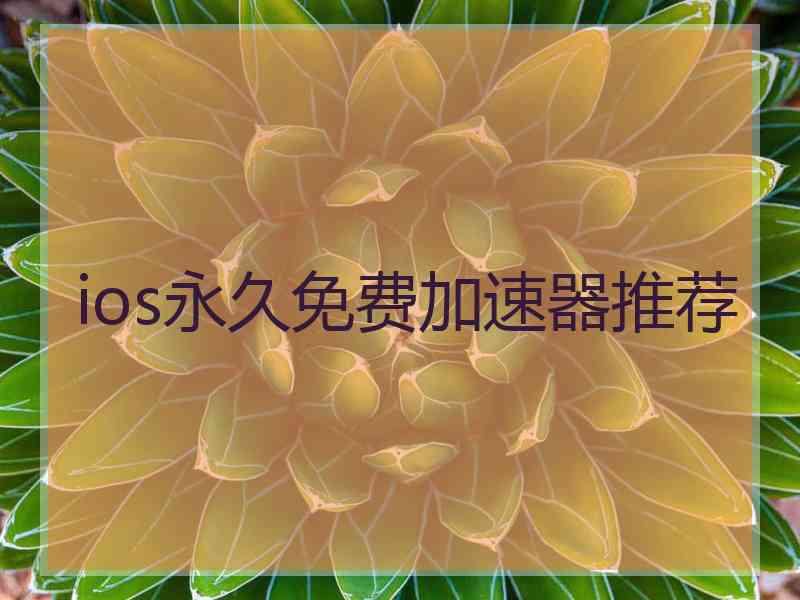 ios永久免费加速器推荐