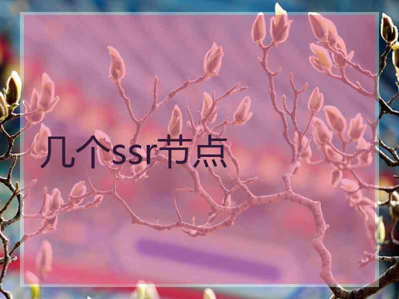 几个ssr节点