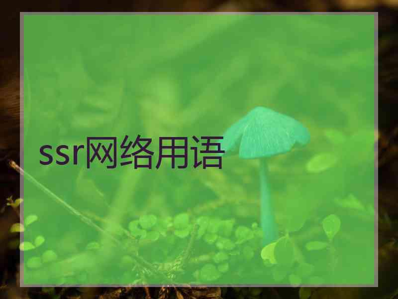 ssr网络用语