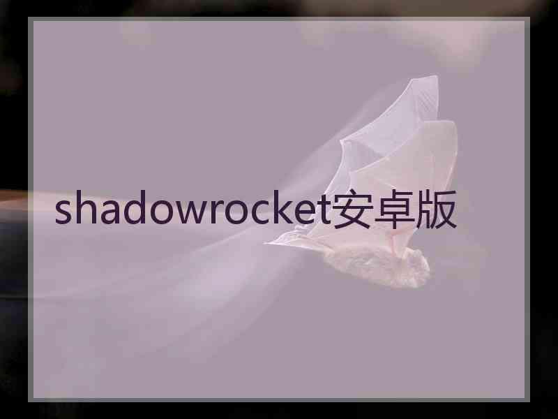 shadowrocket安卓版