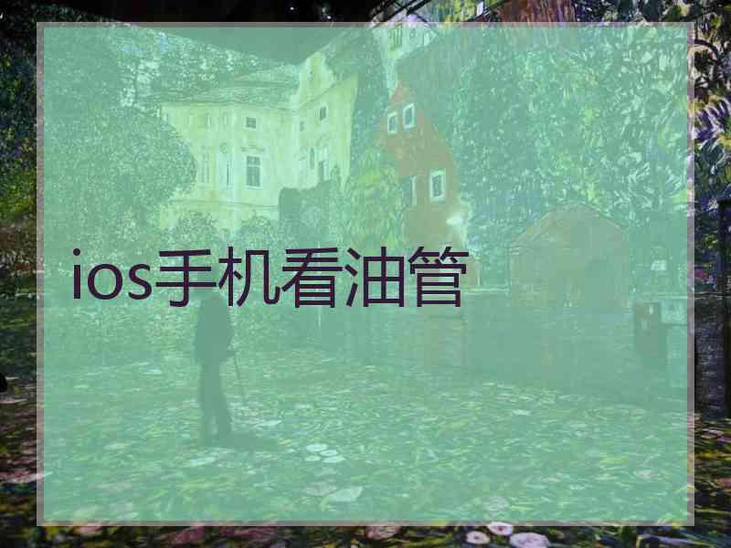 ios手机看油管