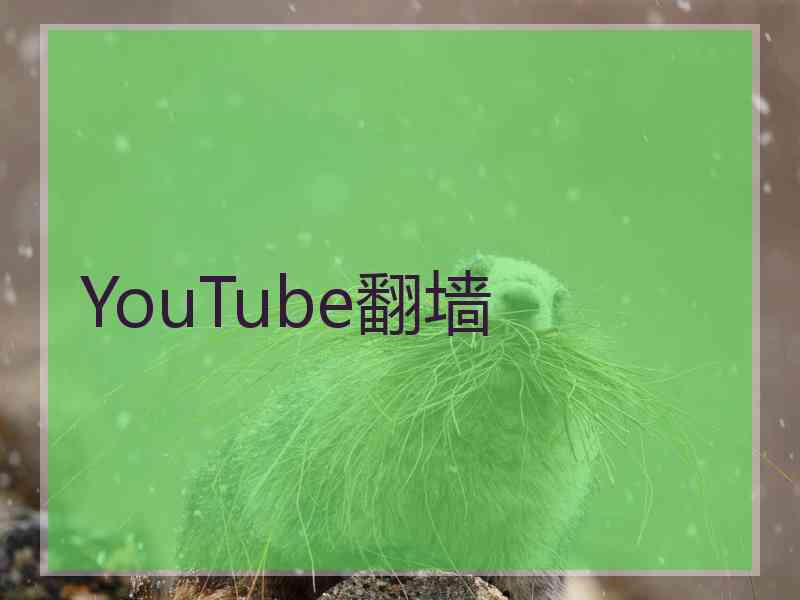 YouTube翻墙