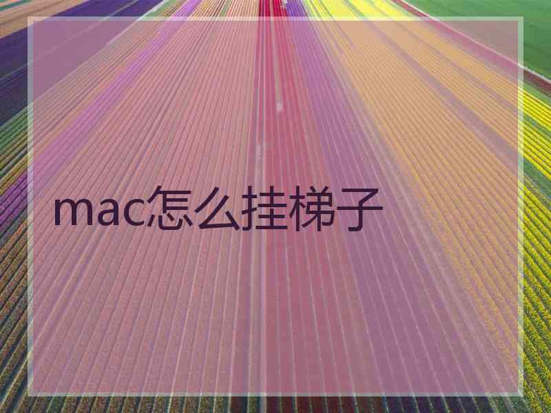 mac怎么挂梯子