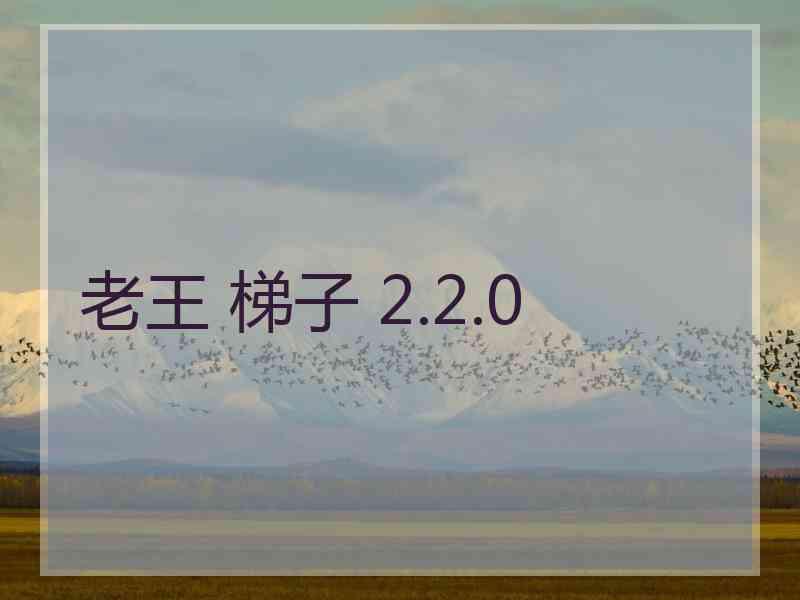 老王 梯子 2.2.0