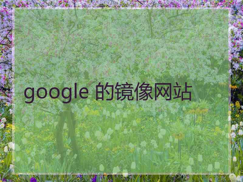 google 的镜像网站