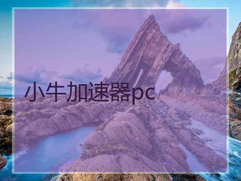 小牛加速器pc