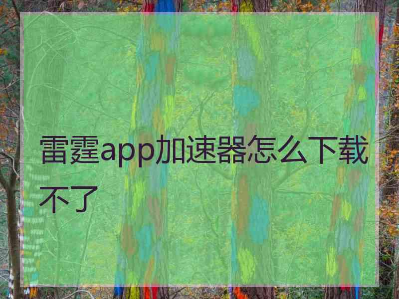 雷霆app加速器怎么下载不了