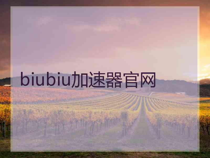 biubiu加速器官网