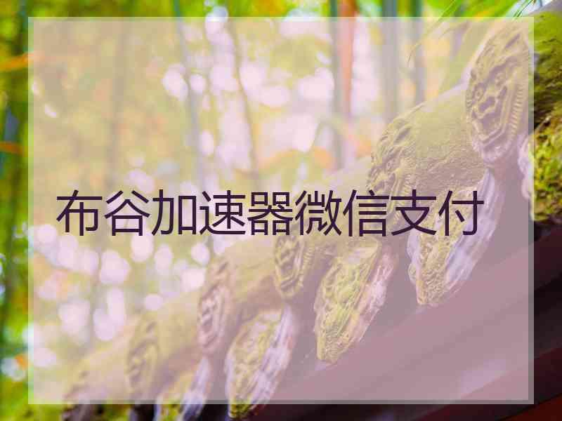 布谷加速器微信支付