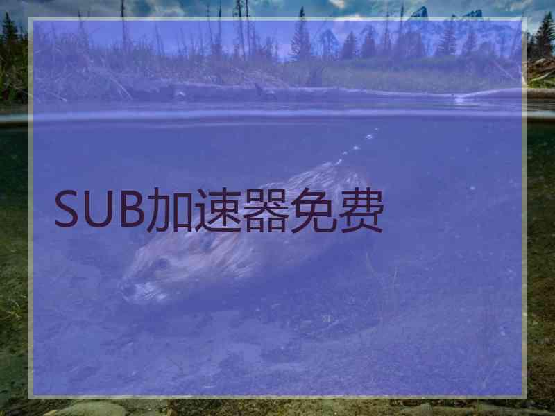 SUB加速器免费