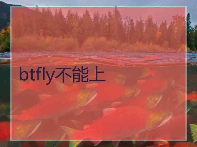 btfly不能上