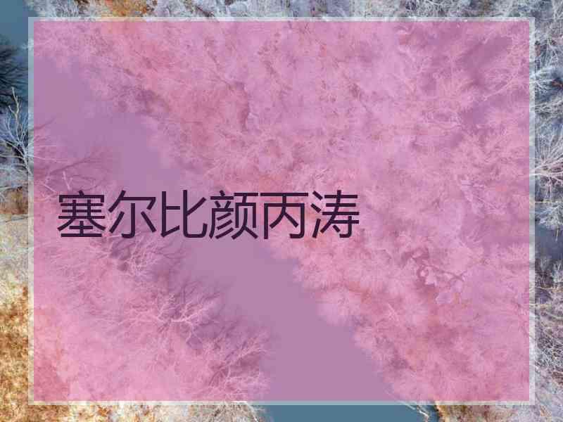 塞尔比颜丙涛