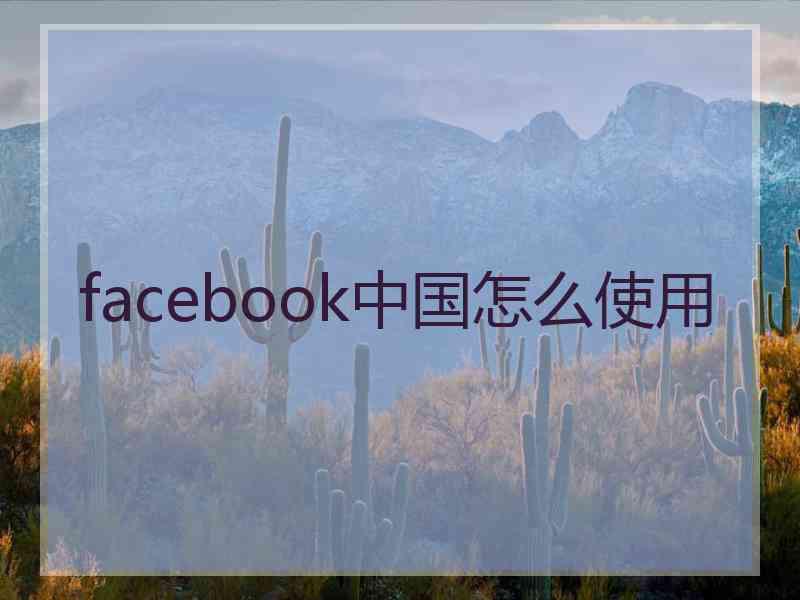 facebook中国怎么使用