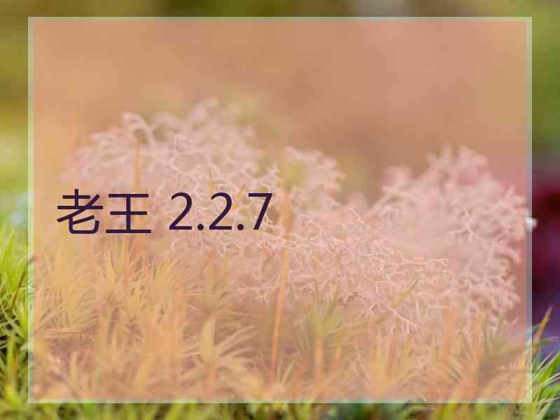 老王 2.2.7