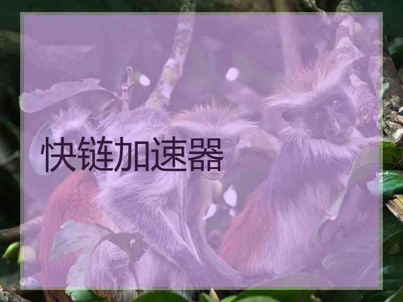 快链加速器