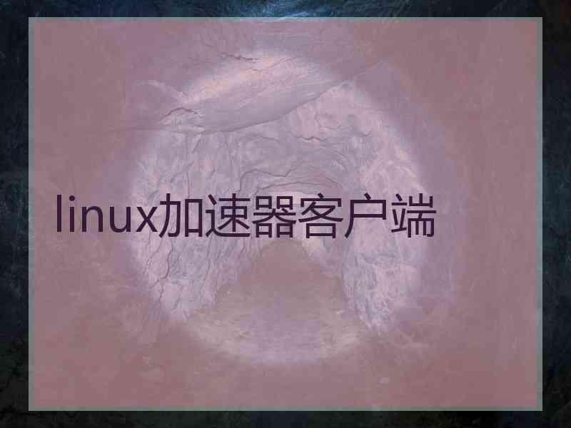 linux加速器客户端