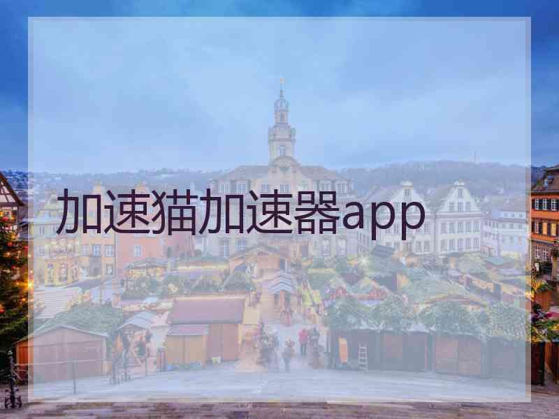 加速猫加速器app