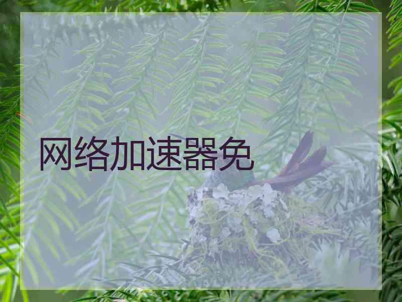 网络加速器免