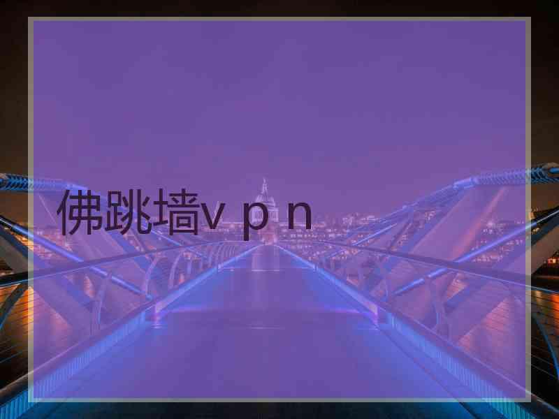 佛跳墙v p n