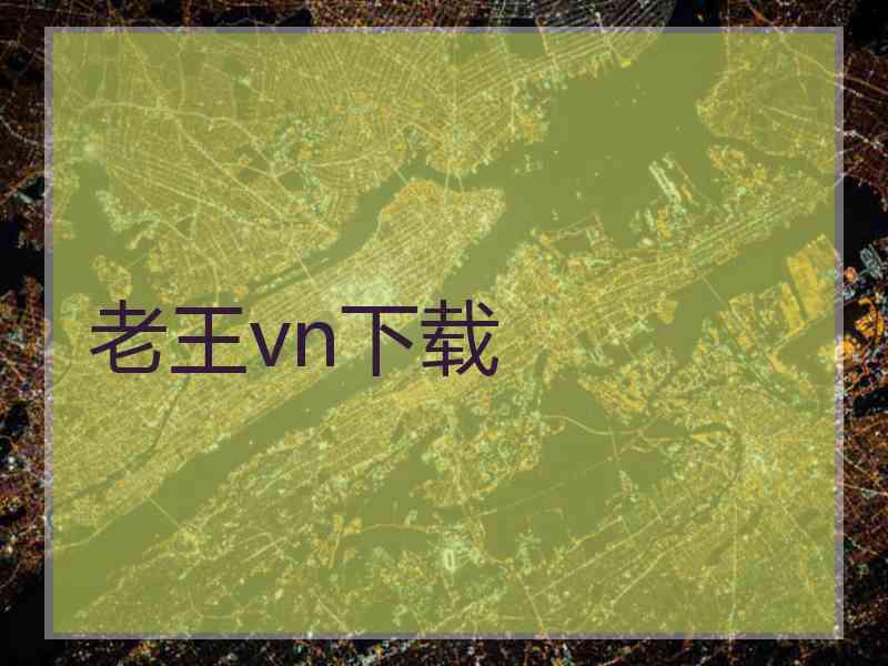 老王vn下载