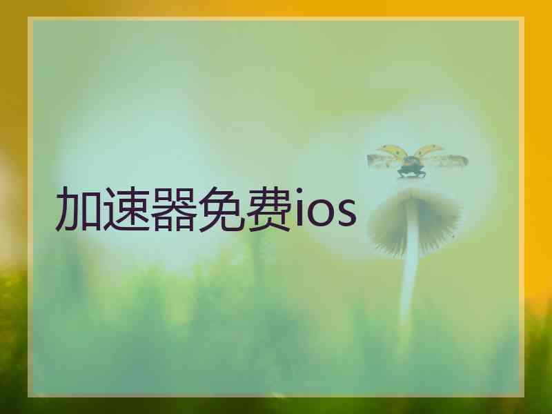 加速器免费ios