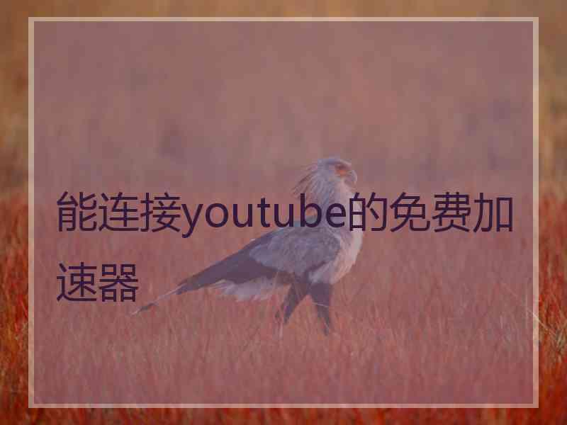 能连接youtube的免费加速器