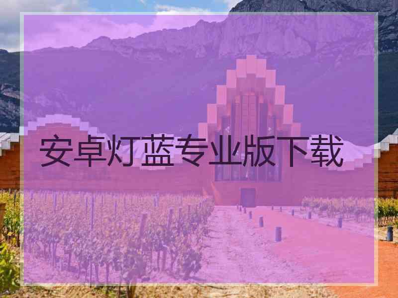 安卓灯蓝专业版下载