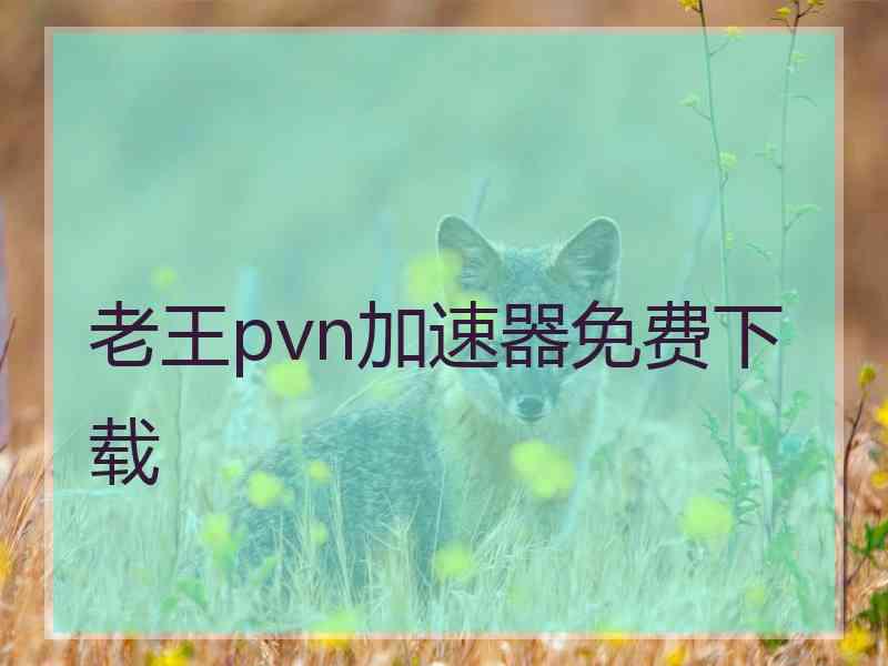 老王pvn加速器免费下载