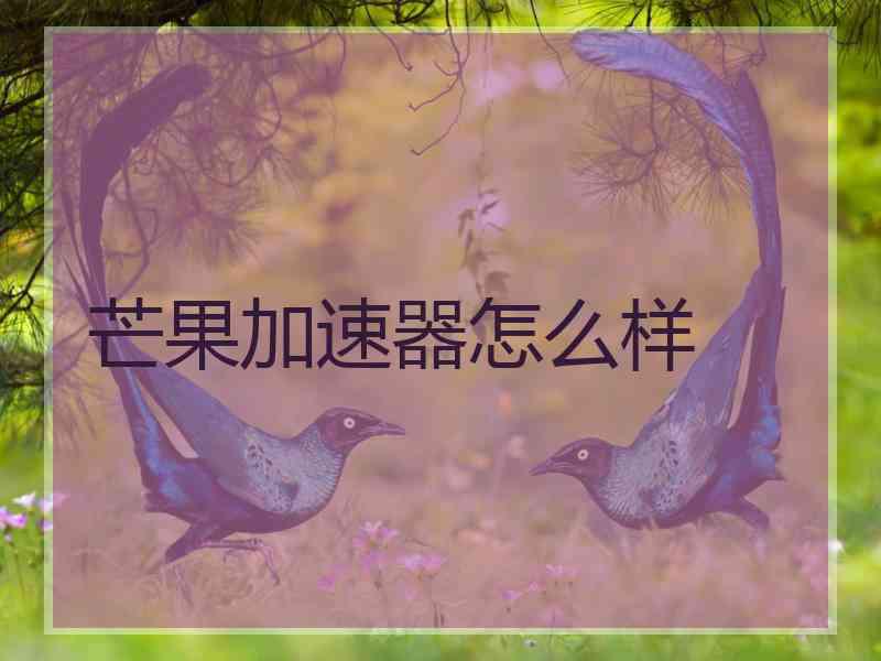 芒果加速器怎么样