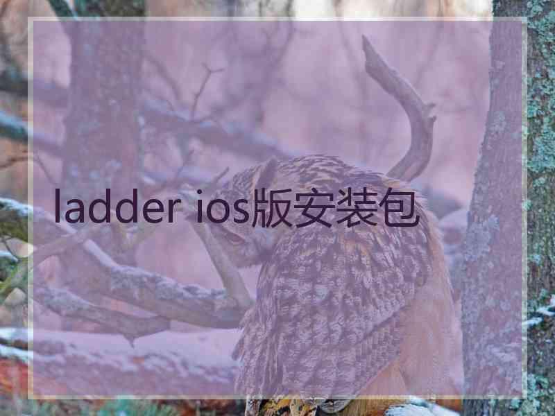 ladder ios版安装包