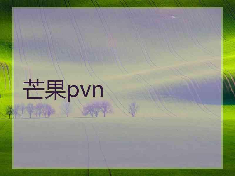 芒果pvn