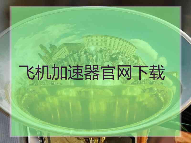 飞机加速器官网下载