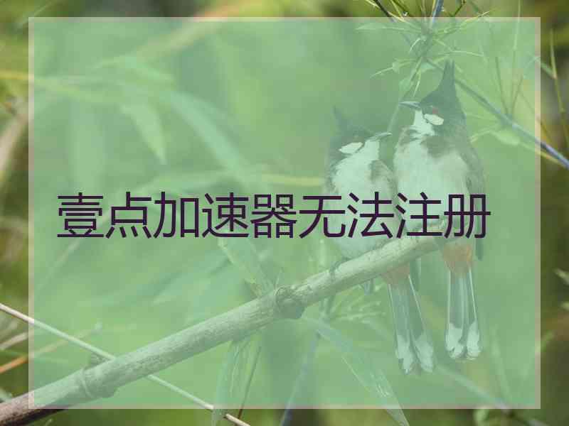 壹点加速器无法注册