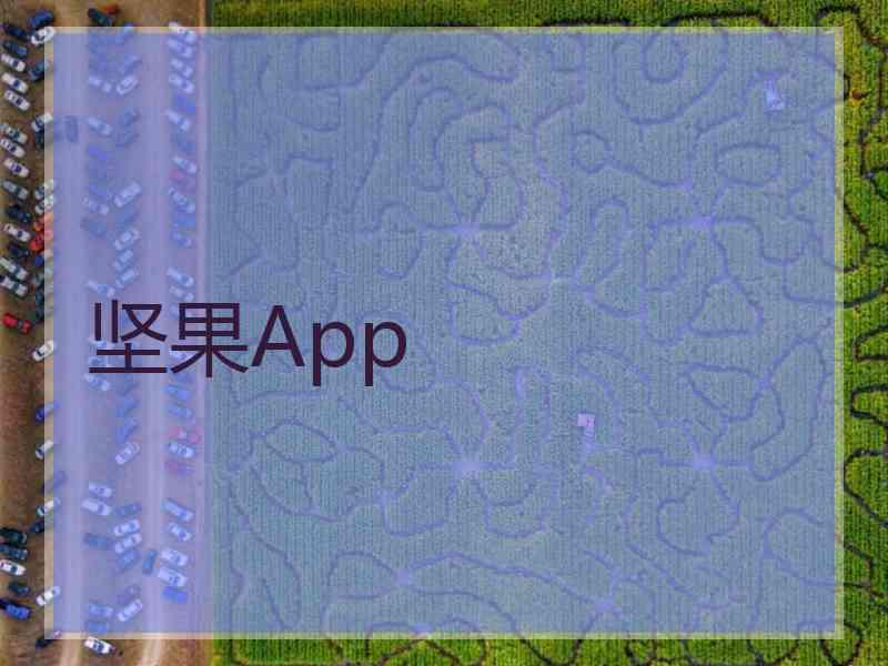 坚果App