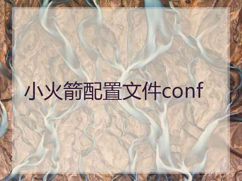 小火箭配置文件conf