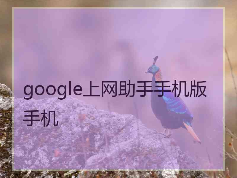 google上网助手手机版手机